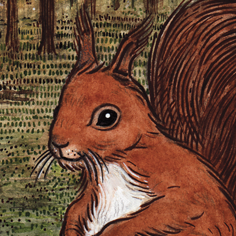 <b>Northumberland Wildlife Trust</b> - Illustrations for The Last Red Squirrel - 1 of 4