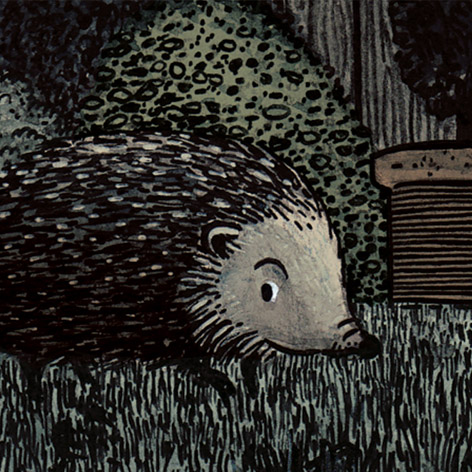 <b>Northumberland Wildlife Trust</b> - Illustrations for The Loneliest Hedgehog - 1 of 2