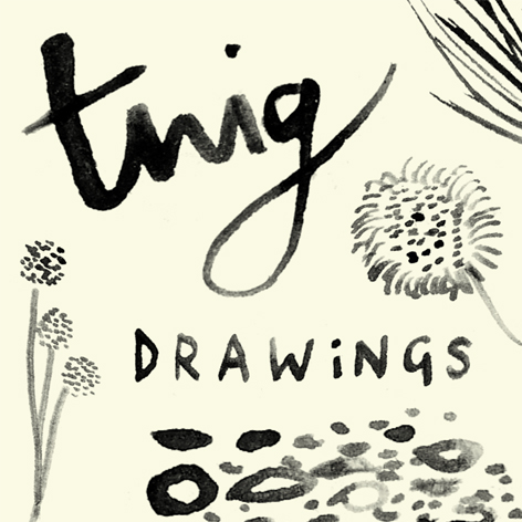 <b>Twig Drawings</b> - Pine Cone Owl, Red Squirrel & Snail